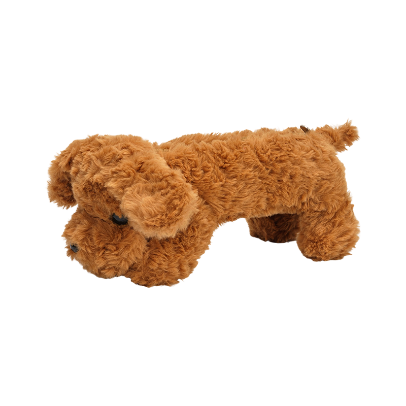 Bekas pensel anak anjing yang gebu
